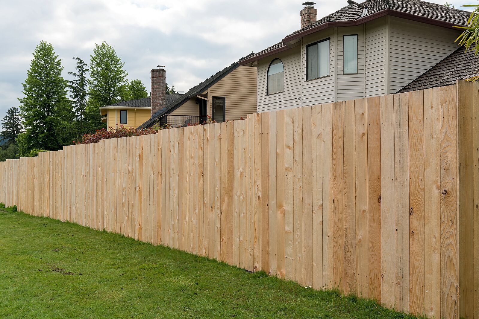 New Cedar Wood Fence Boards